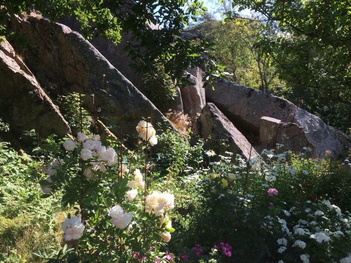 Stuga I Naturskoent Omrade Pa Vaestra Tjoern Saby ภายนอก รูปภาพ